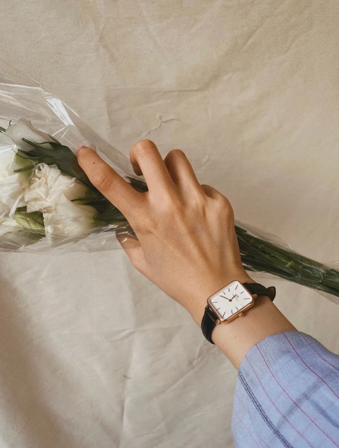 Gold Daniel Wellington Quadro Pressed Sheffield Women's Watch